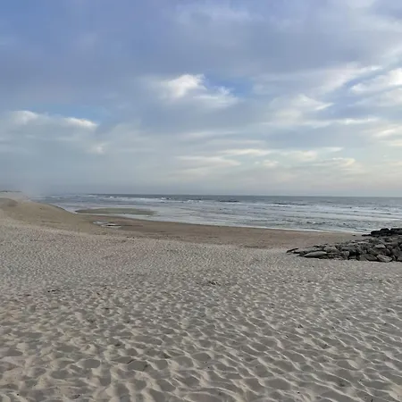 Апартаменты Cozy & Calm House *