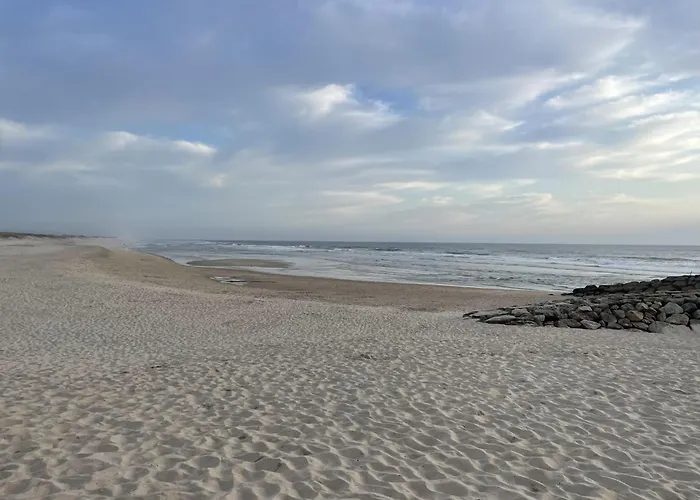 Апартаменты Cozy & Calm House *